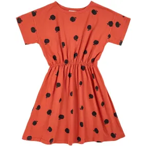Bobo Choses Ketchup Poma Allover Dress Bobo Choses Ketchup Poma Allover Dress