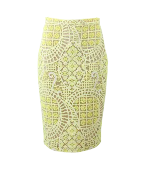Iona Lace Pencil Skirt
