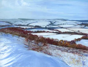 Snowy Edlingham
